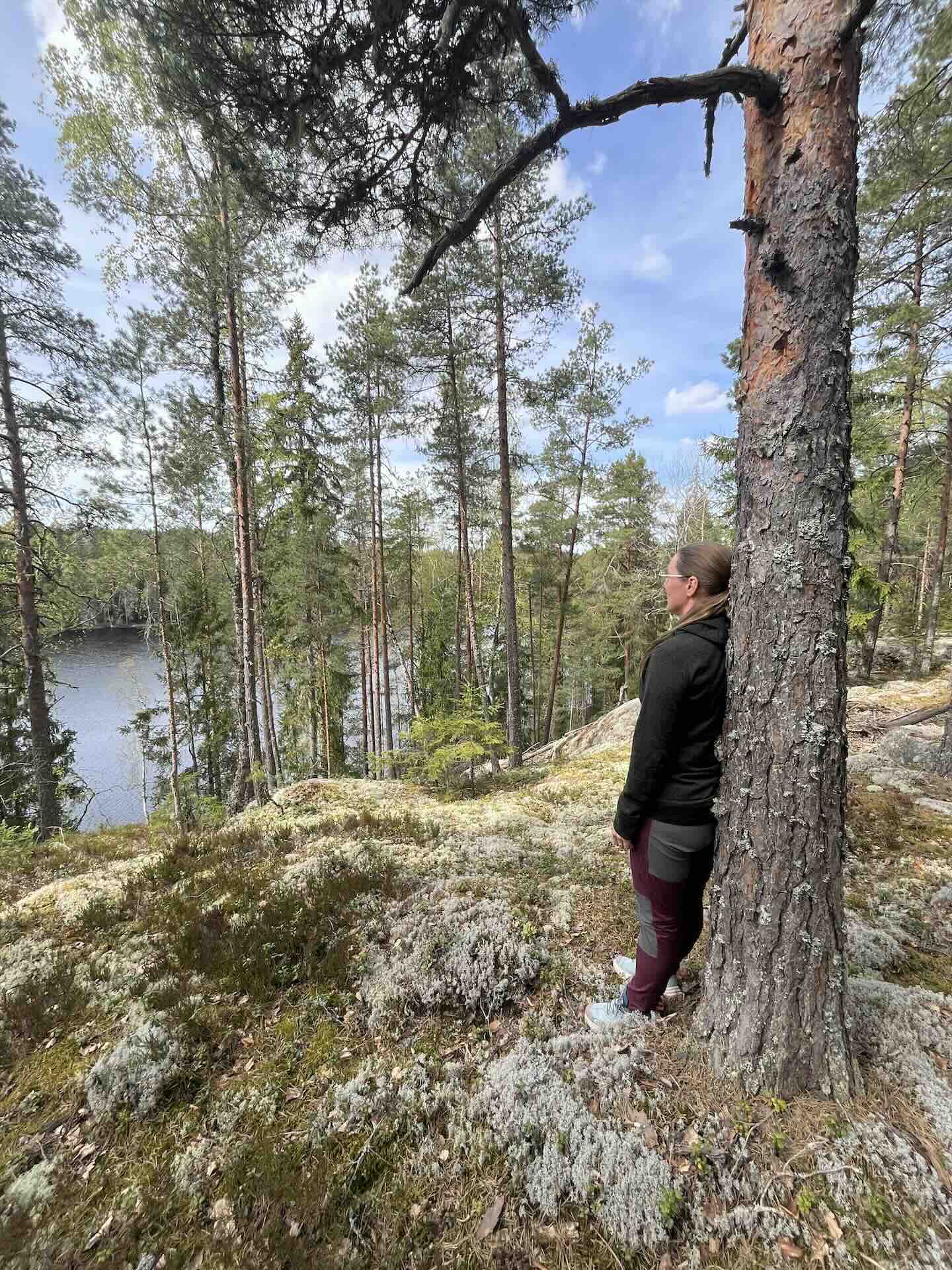 Rauhoittava hetki Lohikäärmekiven maastossa Lohjalla
